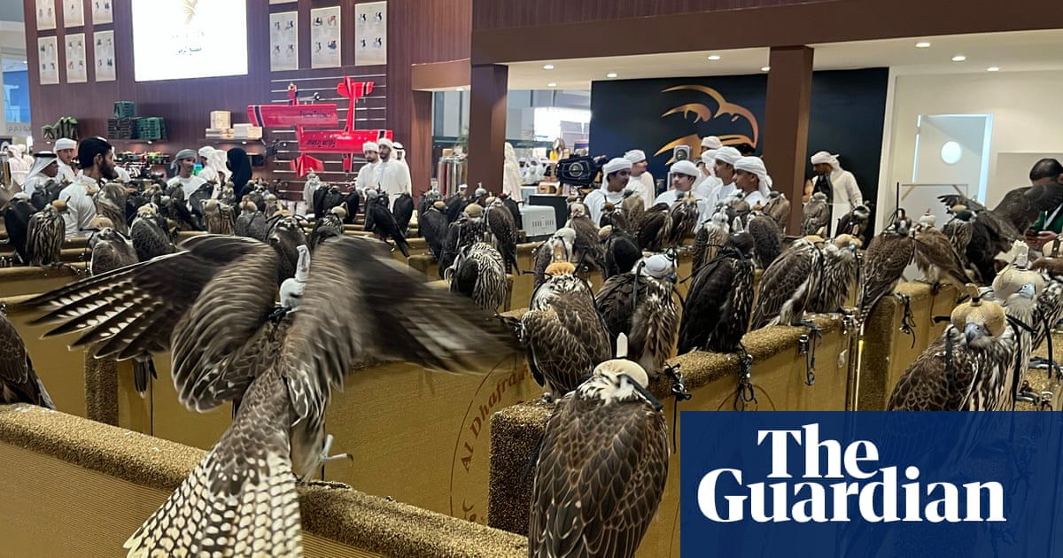 How demand for elite falcons in the Middle East is driving illegal trade of British birds