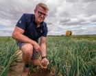 ‘It’s too fast, too big’: speed of climate crisis is devastating crops, say farmers