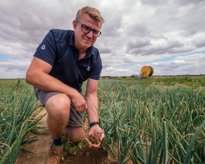 ‘It’s too fast, too big’: speed of climate crisis is devastating crops, say farmers — image supplied by The Guardian Business's feed