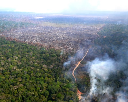 Aerial view of an area of Amazon rainforest deforested by illegal fire in Amazonas state in 2024.