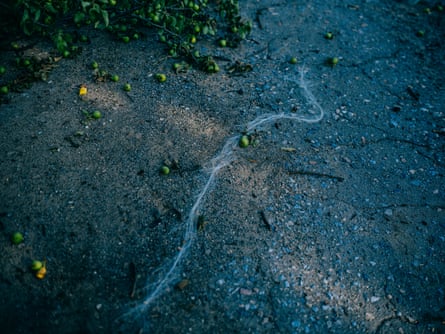 Fibre optic cable mixed with pears on the ground in Donetsk region.