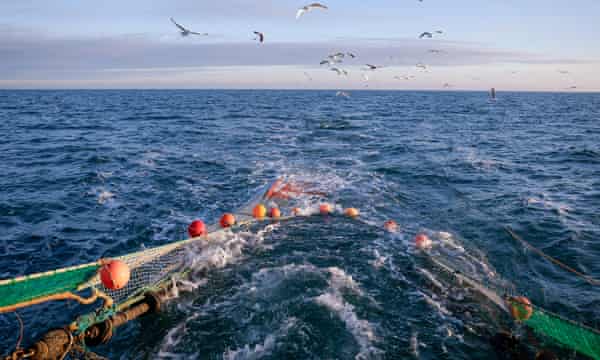 A net is winched in to a fishing boat trawling in the Channel.