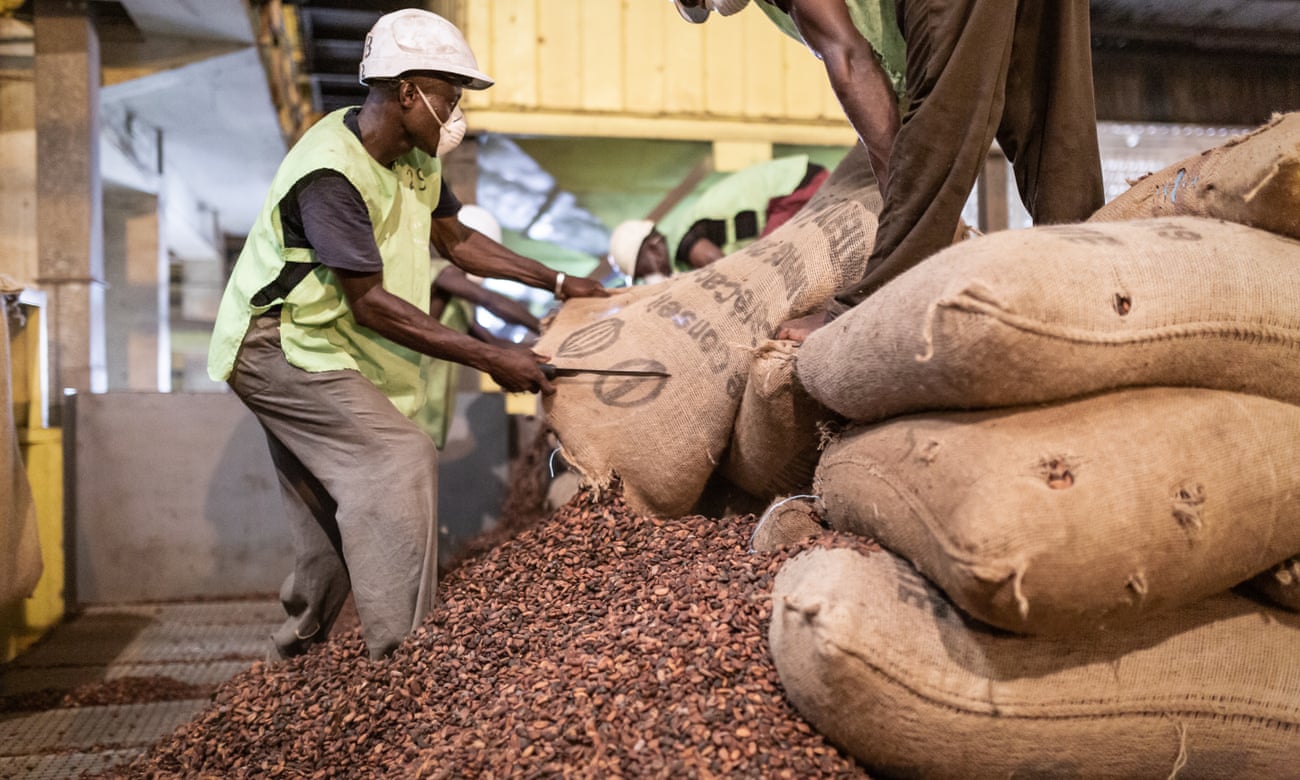 Ivorian man with knife opening sack of cocoa beans