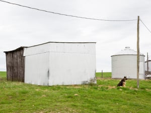 In the middle of 450 acres of land, the nine-year-old German shepherd Bandit sits beneath some old barns and a silo, keenly protecting his home. This Missouri Century Farm, located between New Offenburg and Zell, has been in the same family since 1837.