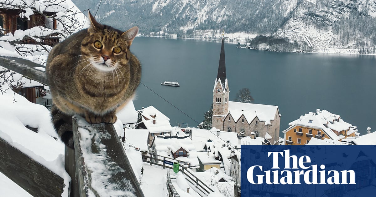 It really felt like I was in a fairytale': Mustafa Seven's best phone picture