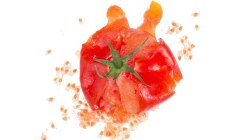 a crushed fresh tomato