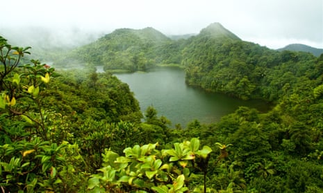 Rainforest around a freshwater lake in Dominica