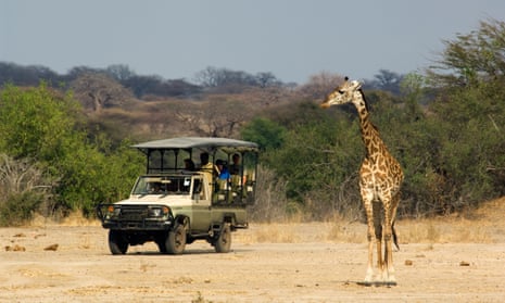 A vehicle and a giraffe in Ruaha National Park, Tanzania.