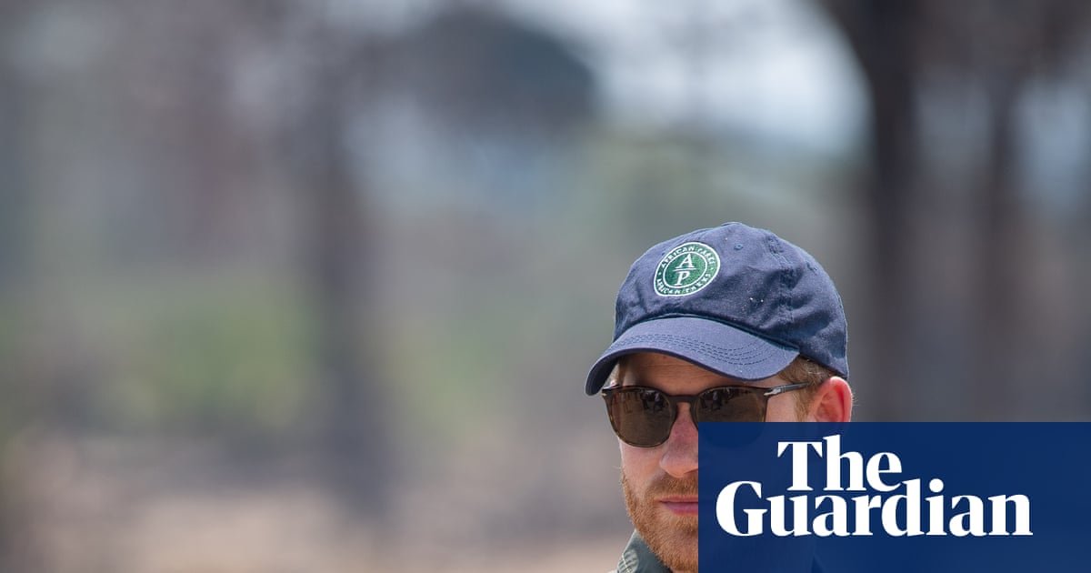 Prince Harry quits board of wildlife charity after human rights abuses