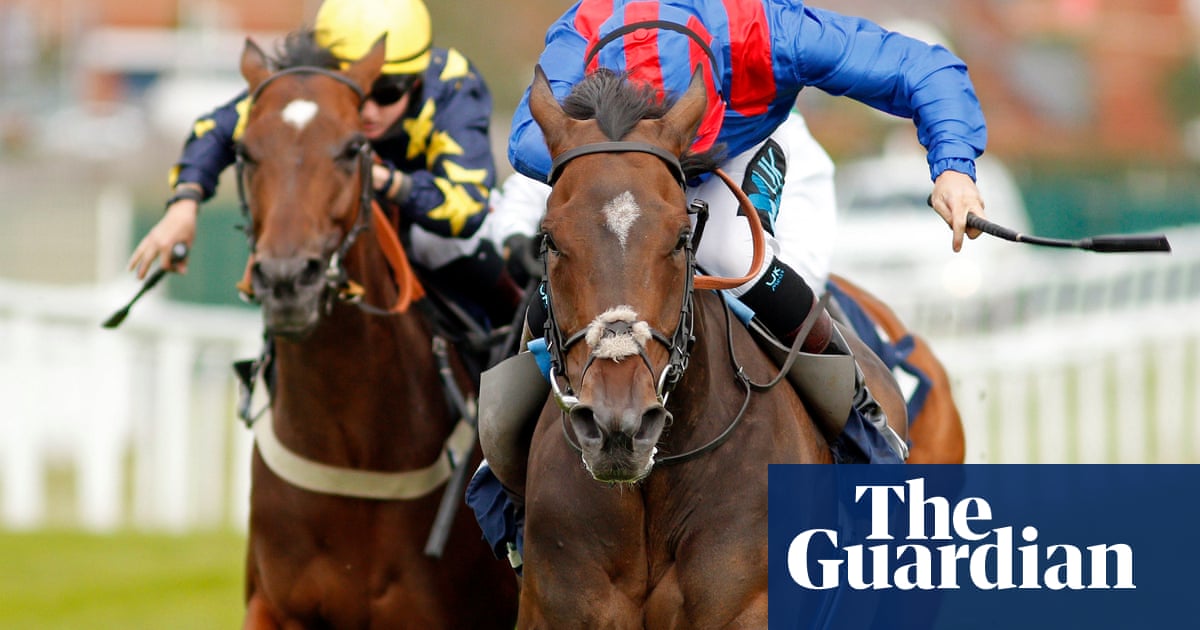 Talking Horses: Dubious Affair rates smashing bet in Northumberland Plate