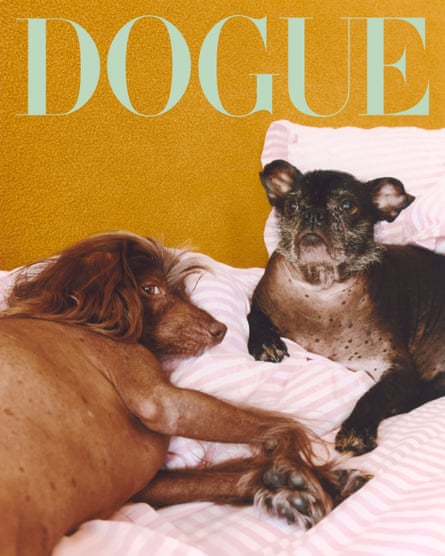 Two dogs on a bed
