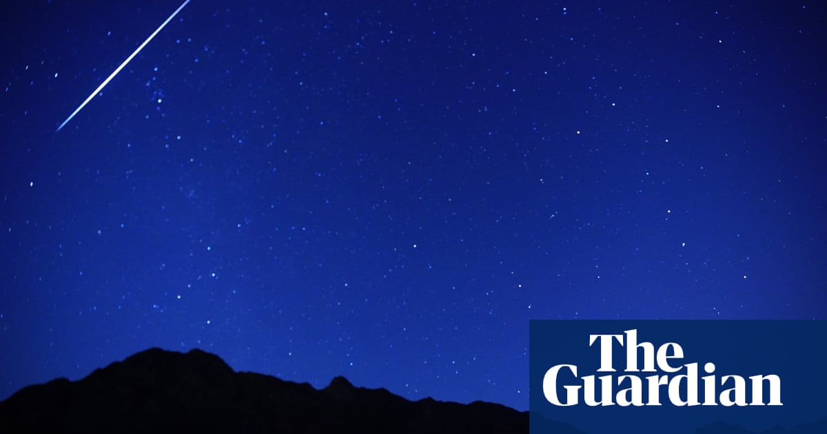 Pittsburgh New Year's Day meteor explosion equivalent to 30 tonnes of TNT, says Nasa  | Meteors | The Guardian