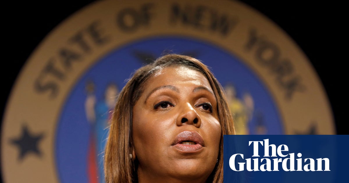 New York to create team of legal observers to document ICE raids