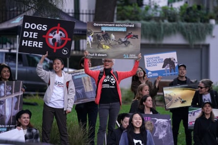 Protesters hold anti-greyhound racing placards