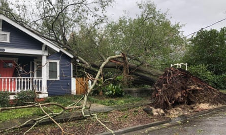 A tree misses a house by inches in Wilmington, North Carolina.