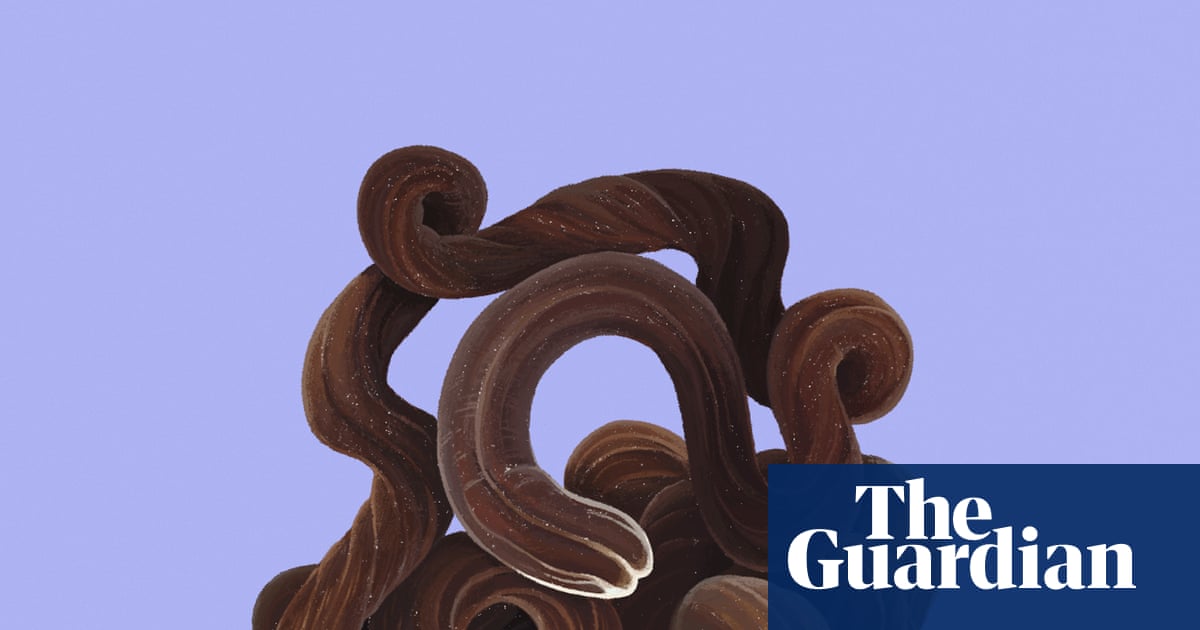 Stuff of nightmares? Meet the bootlace worm – super-long, super-elastic, and it fires toxic slime