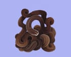Stuff of nightmares? Meet the bootlace worm – super-long, super-elastic, and it fires toxic slime