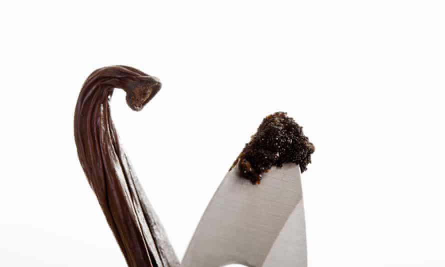 A vanilla pod and its seeds