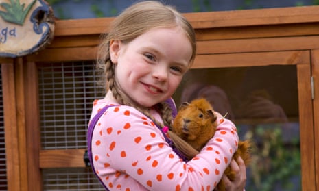 Olga da Polga – now a sandy-coloured guinea pig for continuity purposes – will appear in a new CBeebies series.