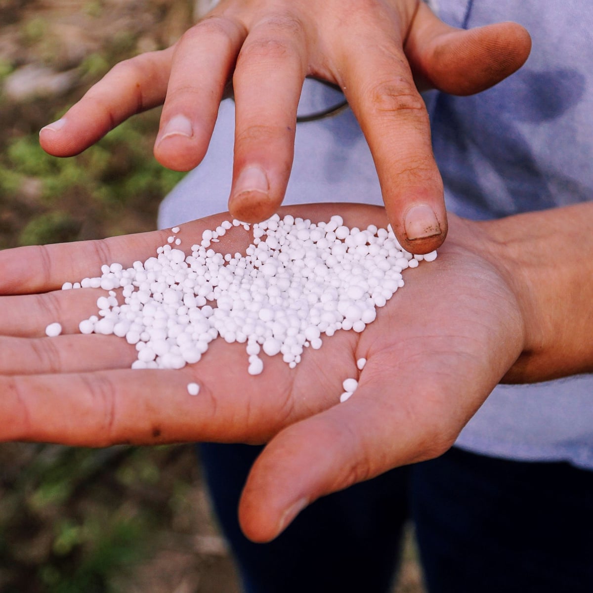 What is urea and AdBlue, and why does a worldwide shortage threaten  Australia's supply chain? | Business | The Guardian