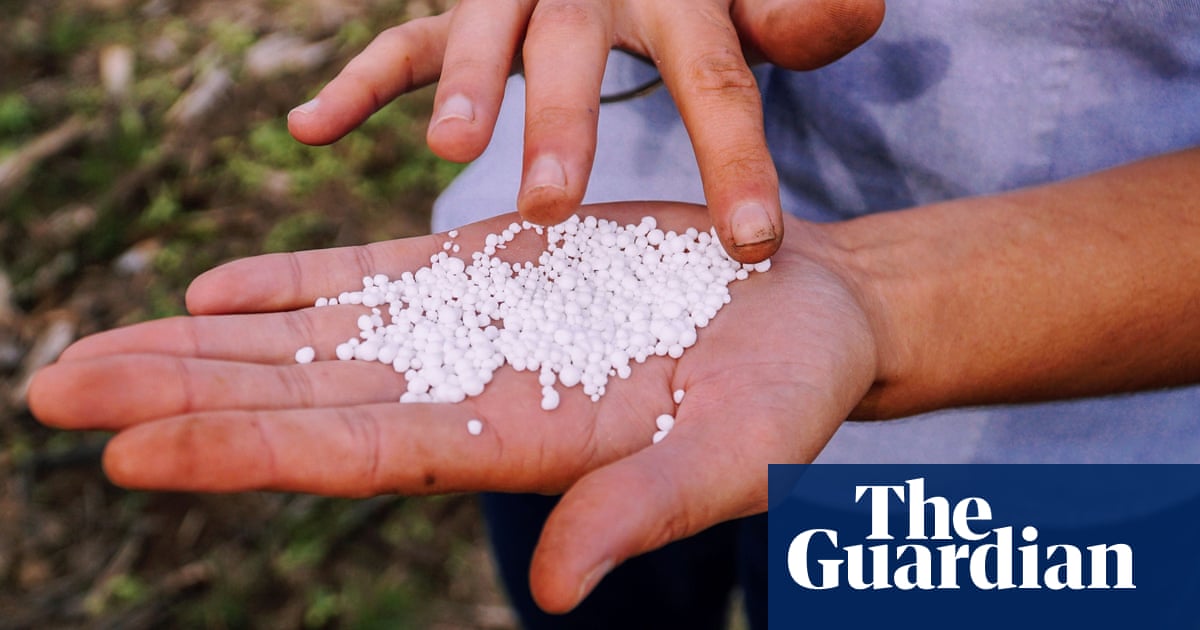 What is urea, and why does a worldwide shortage threaten Australia's supply chain? | Business | The Guardian