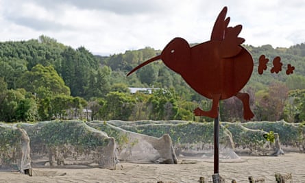 A vineyard covered in silt in the Esk Valley, Hawke’s Bay, New Zealand.