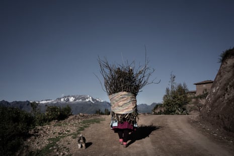 A woman walks up a hill track with a large bundle of branches tied to her back, climbs the slopes with her little dog.