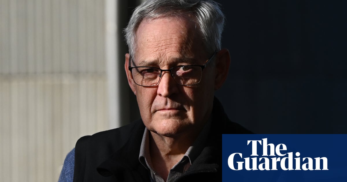 Erin Patterson refused help in plating up fatal mushroom lunch, sole surviving guest tells murder trial