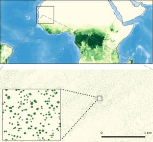 Vendo a floresta e as árvores: as árvores de sequeiro crescem isoladas sem formar florestas (cores esverdeadas na figura superior), o que as torna invisíveis para os sistemas convencionais de satélite. Um novo estudo usou novos sensores e inteligência artificial para mapear todas as árvores individuais dentro do retângulo sobre a África Ocidental, mostrando que milhões de árvores crescem em áreas conhecidas como deserto ou pastagem.