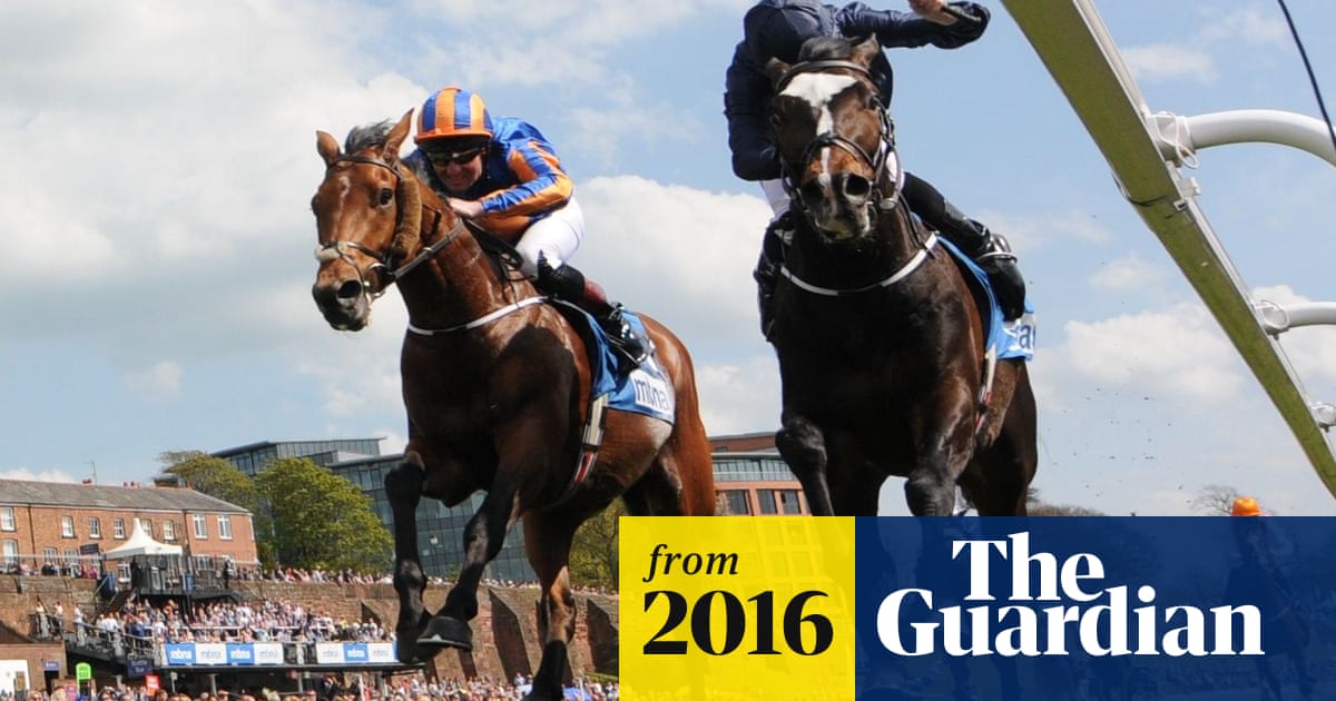 Derby Favourite Us Army Ranger Just Beats Stablemate In Chester Vase The Derby 16 The Guardian Derby Favourite Us Army Ranger Just Beats Stablemate In Chester Vase The Derby 16 The Guardian