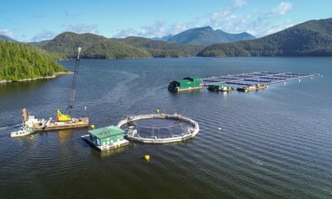 Aerial view of fish farms in Clayoquot Sound