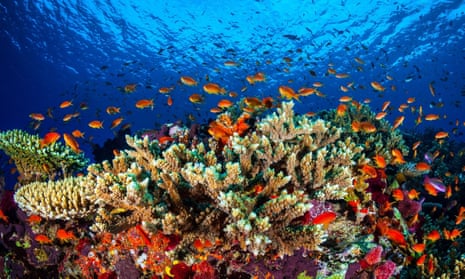 The Great Barrier Reef in Queensland.