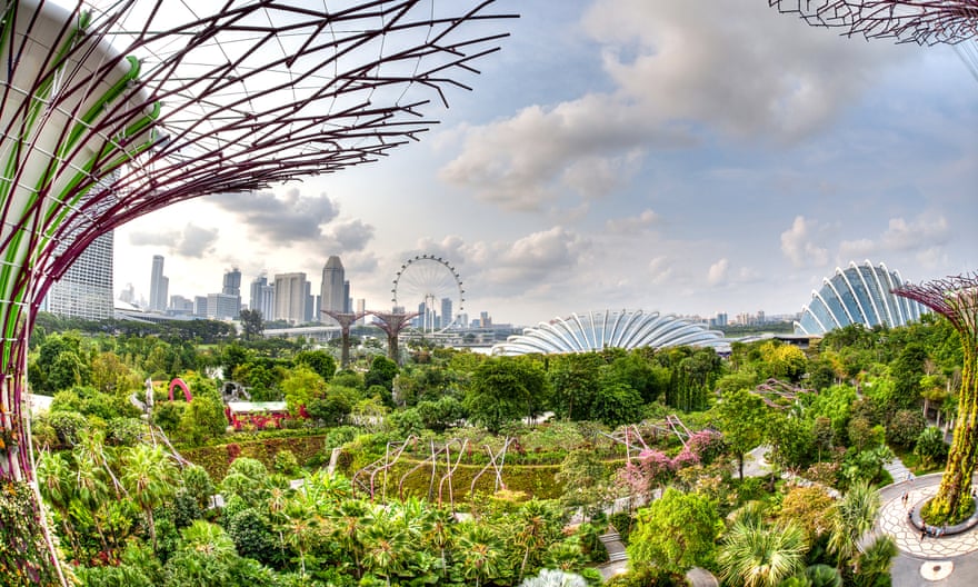In Singapore, the National Parks Board plants more than 50,000 trees a year along roadsides, and in parks and gardens.