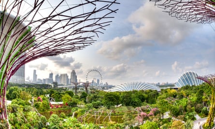 The city skyline from the Supertree Grove Skywalk in Singapore.