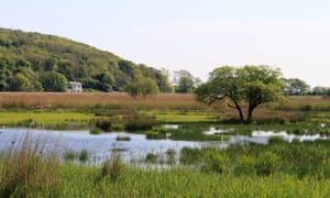 Leighton Moss nature reserve, Silverdale, Lancashire.