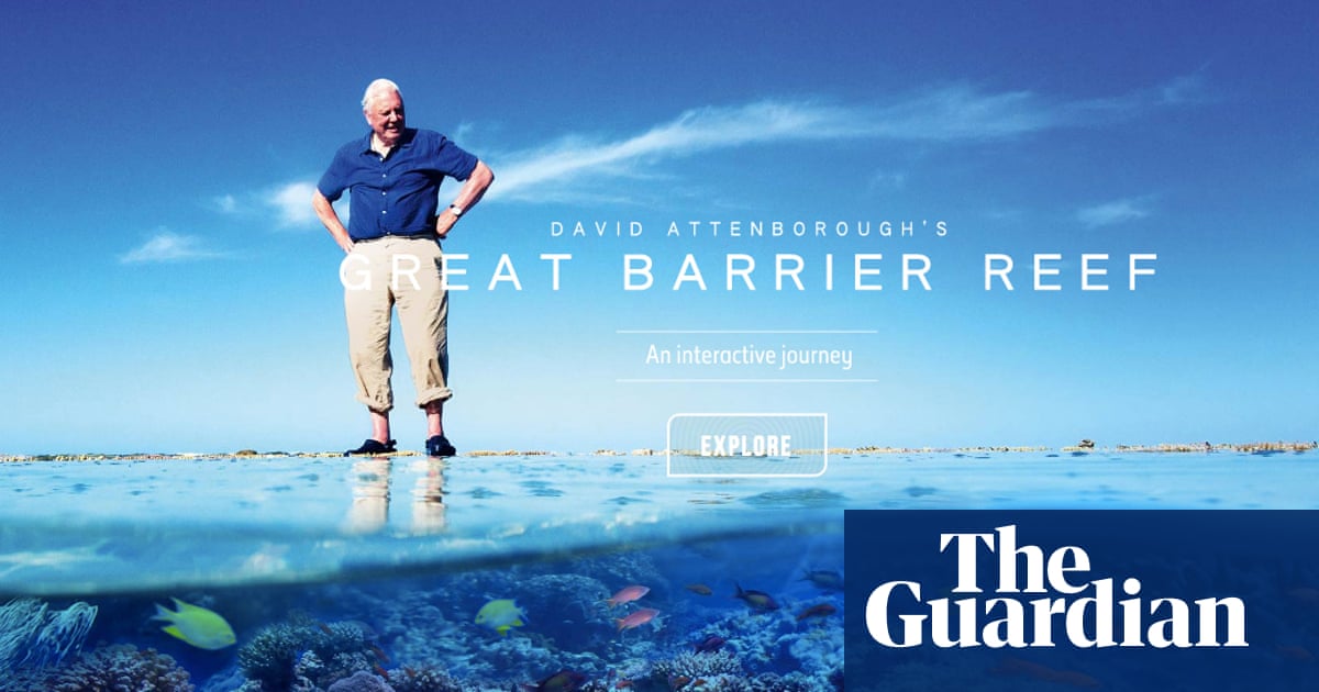 10 Of The Best Virtual Ocean Adventures Diving Holidays The Guardian 10 Of The Best Virtual Ocean Adventures Diving Holidays The Guardian