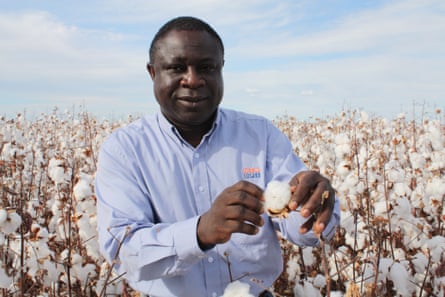 Mensah stands in a field of cotton crops.