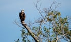 Challenges to Endangered Species Act Protections