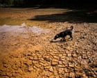 Climatic Extremes: Godzilla El Niño Shatters Global Temperature Benchmarks