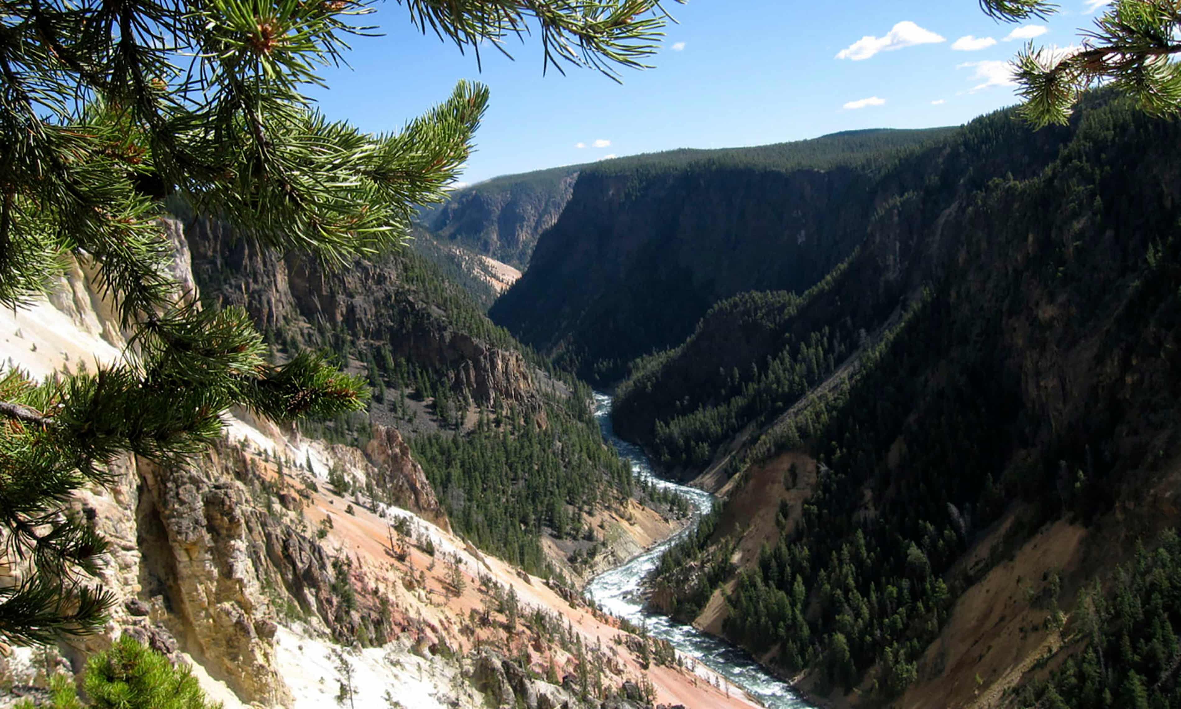 Yellowstone gunman told woman held at gunpoint he planned mass shooting, park officials say (theguardian.com)
