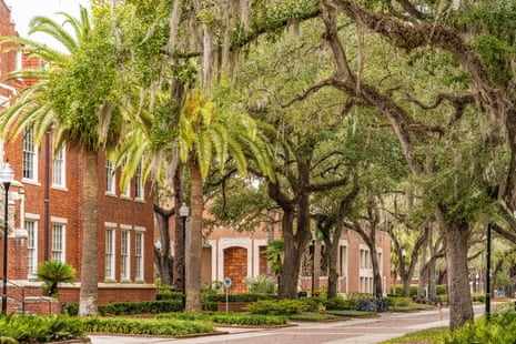 A lush tree-lined walking path next to red-brick buildings.