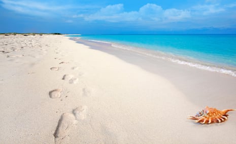 Footsteps and seashell in the white sand at Boca Grandi beach, Aruba.