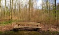 A wooden bench in the Sonian Forest in Belgium.