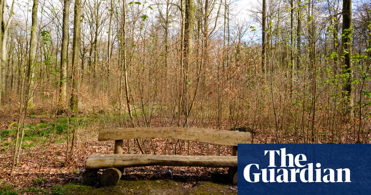 ‘You can’t love something that isn’t there’: readers on changes to the natural world around them | Environment