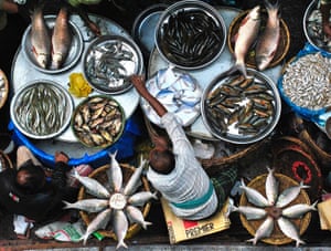 Naya Bazaar is one of the oldest weekly fish markets in Dhaka, Bangladesh. We can see rare and expensive species of fish here that cannot usually be seen in other markets