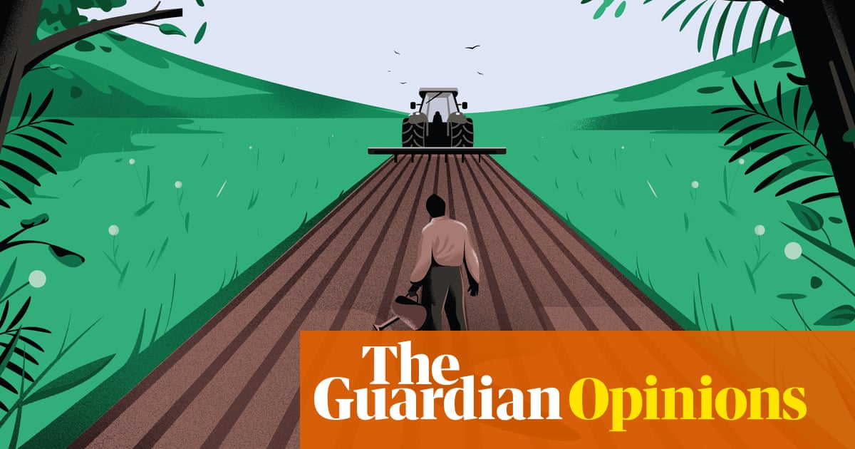 www.theguardian.com
