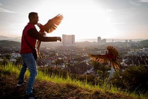 Kuala Lumpur, Malaysia A parrot breeder and his parrots are seen at the Damai Perdana hill during World Parrot Day