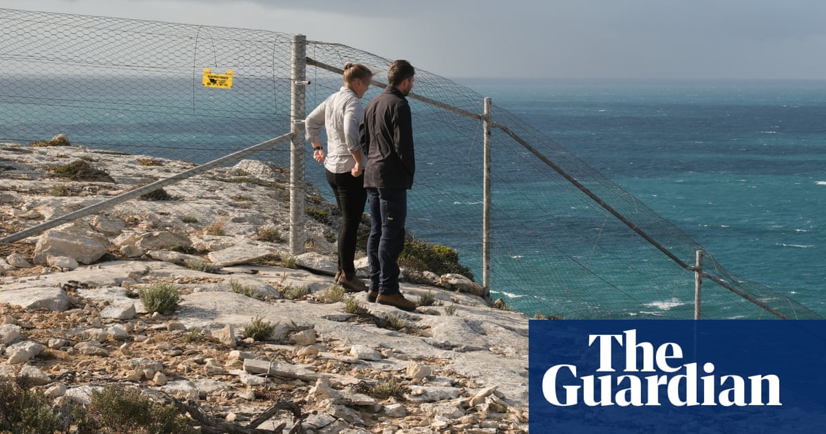 Drones, AI and one long fence: Kangaroo Island's war on a clawed predator that kills 1.5bn Australian animals a year