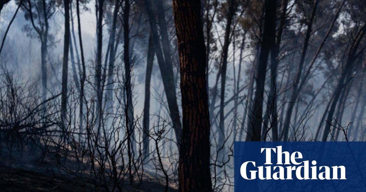 Incêndios florestais no sul da Espanha matam 12 pessoas em meio a altas temperaturas