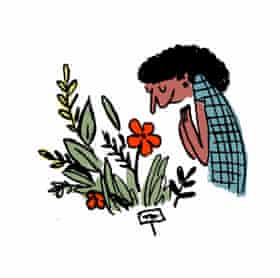 illustration of woman looking down at some flowers